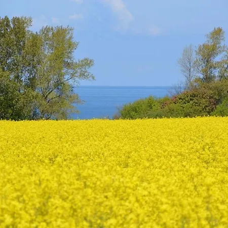 By The Baltic Sea With Terrace דירה *